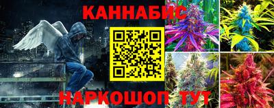 сатива Кулебаки