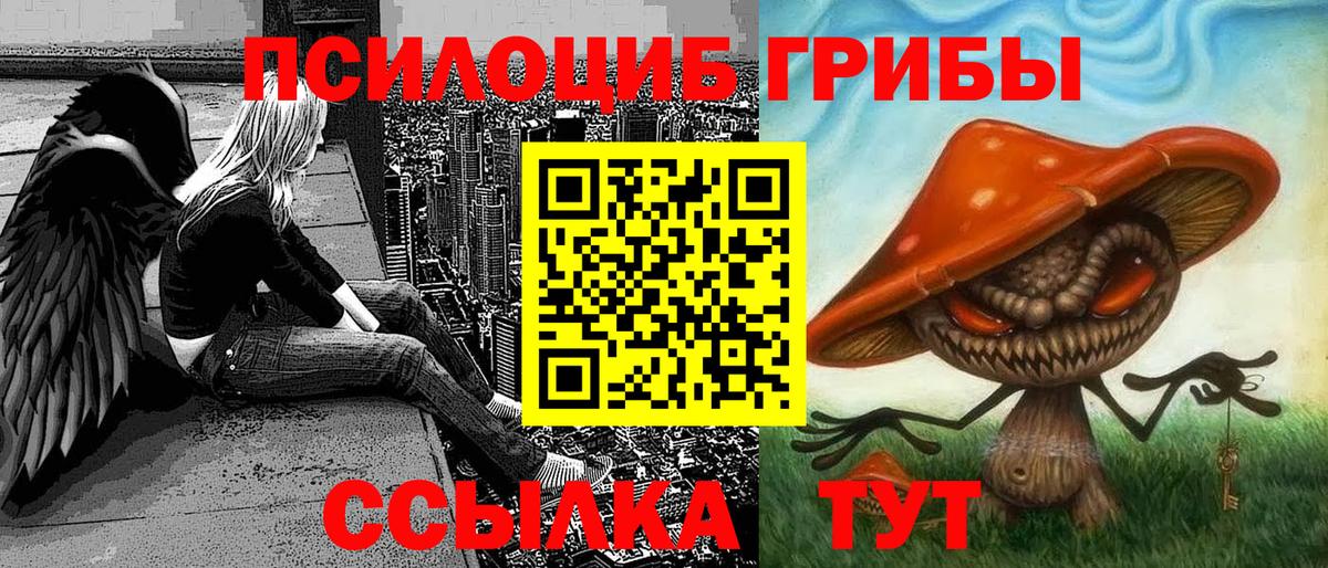 Псилоцибиновые грибы GOLDEN TEACHER Киржач