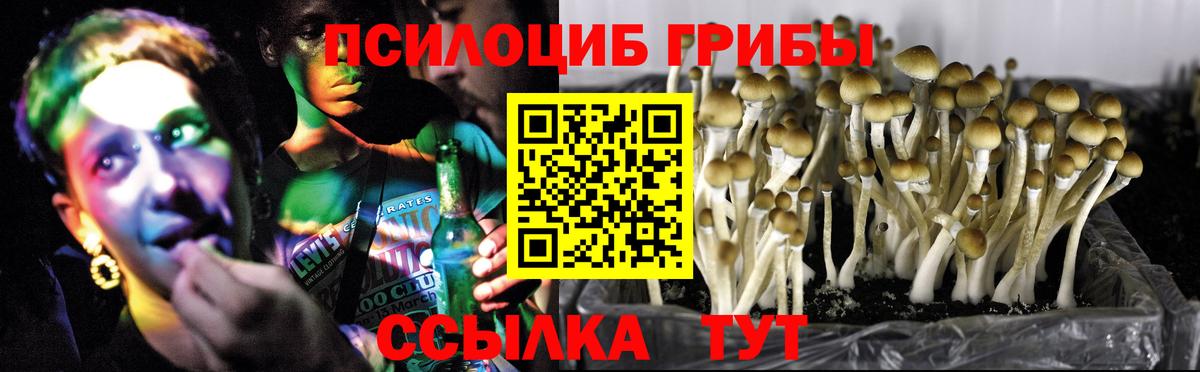 Галлюциногенные грибы Psilocybine cubensis  Вход с VPN  Галлюциногенные грибы Psilocybe  Киржач 